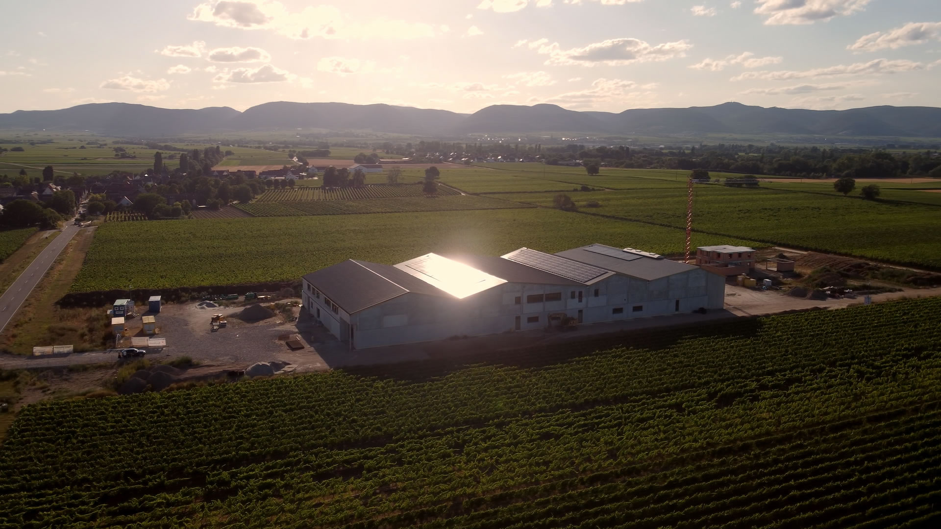 Projekt fotovoltaické v?roby energie pro vina?ství Ellermann-Spiegel v?Německu