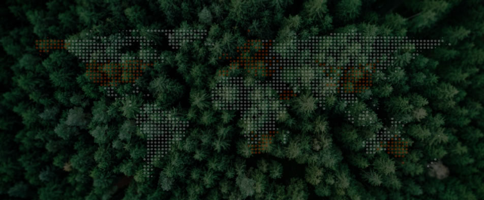 和记全球零碳案例