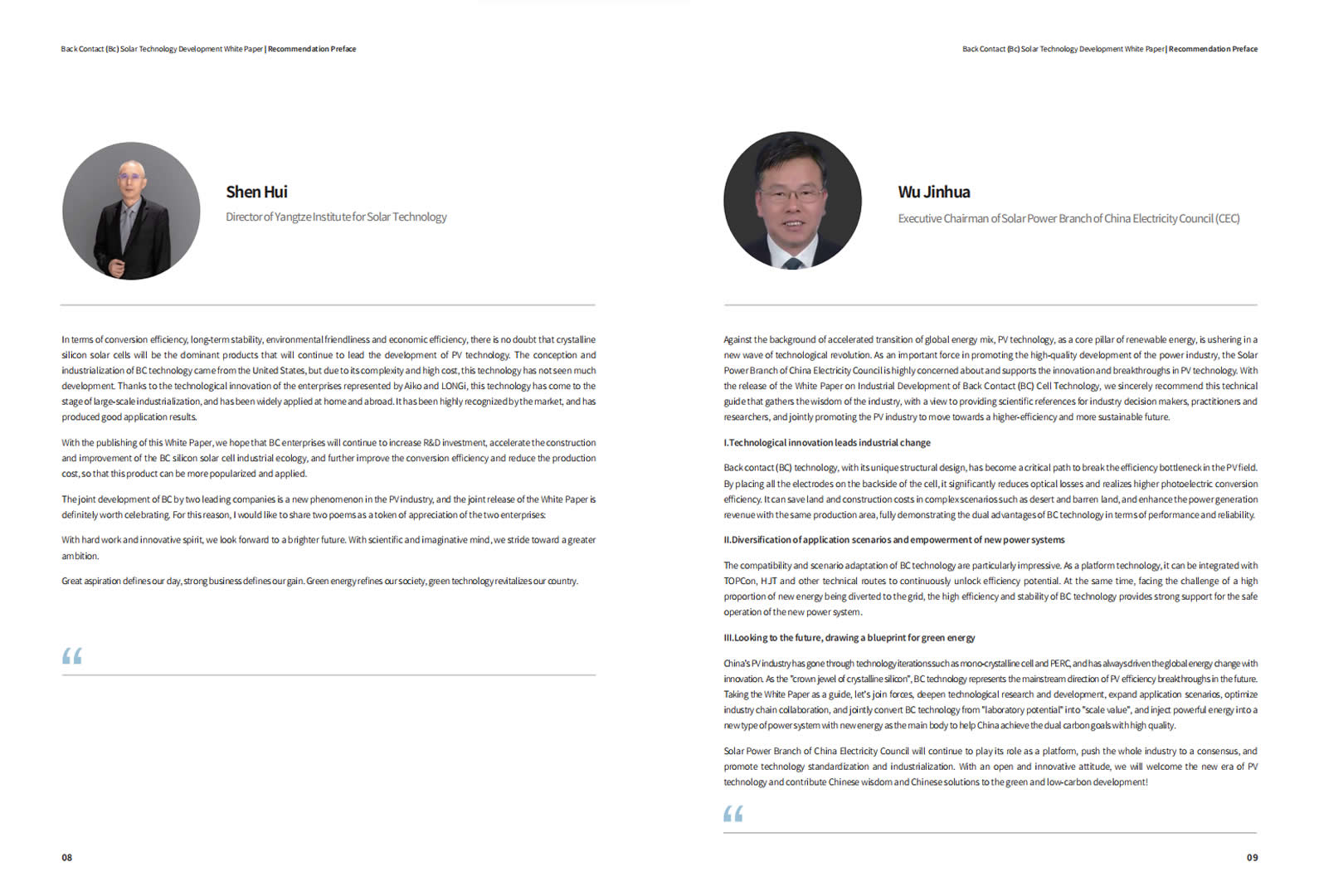 背接触（BC）电池手艺生长白皮书